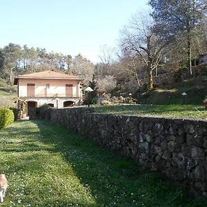 Oda ve Kahvaltı I Lecci